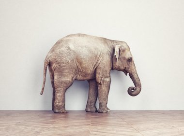 文章样式五:视频列表