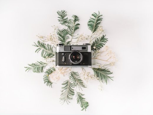 文章中插入卡片