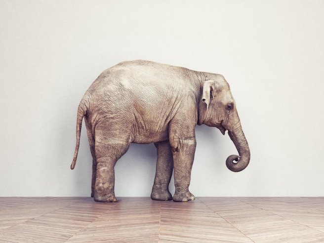 文章样式五:视频列表